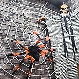 Outdoor Halloween Decorations, Scary Spider with Spider Web, Best for Halloween Party Decorations, Party Favors