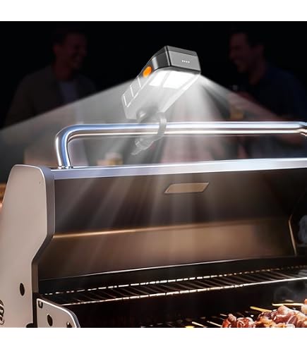Amazon.com : 69273 Handle Light Grill 'N Go Light for Weber Spirit