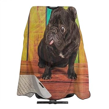 Amazon Com French Bulldog Dog Color Wooden Salon Hair Cutting