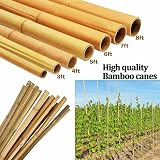LOIBUYZ Bamboo Canes 5-6ft Heavy Duty Plant Supports for Outdoor Use view 2