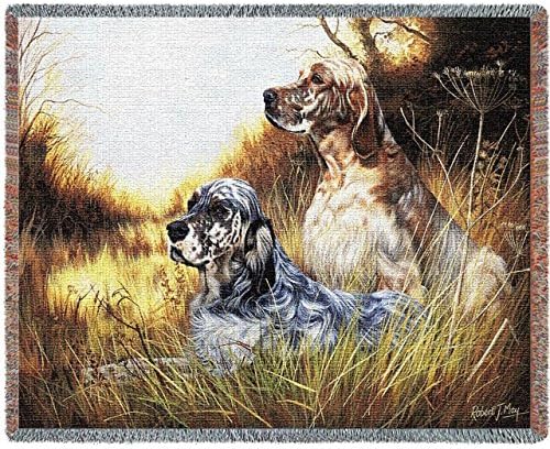 English Setter - Robert May - Cotton Woven Blanket Throw - Made in The USA (72x54)