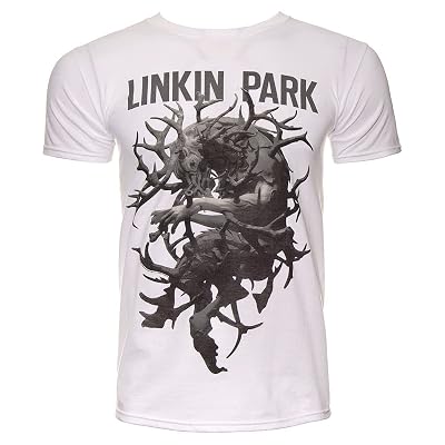 Buy Ripleys Clothing Mens Official T 