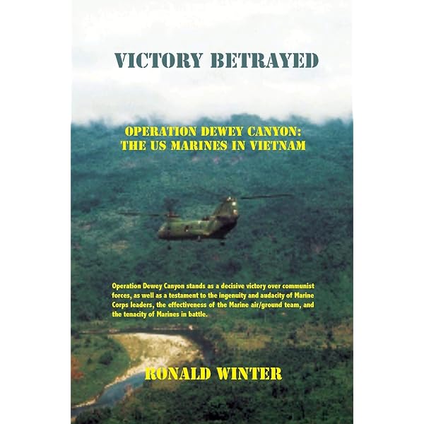 Vietnam: I Pledge Allegiance: Lynch, Chris: 9780545270304: Amazon