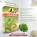 JK DRIED FENUGREEK LEAF 3.53 Oz, 100g (Kasuri Methi, Kasoori Methi) 100% Pure and Natural, GMO & Gluten Free, No Added Essence, Color or Preservatives