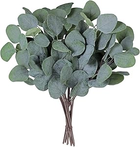 Supla 10 Pcs Fake Eucalyptus Leaves Stems Bulk Artificial Silver Dollar Eucalyptus Leaves Plant in Grey Green 11.8" Tall Wedding Greenery Artificial Greenery Holiday Greens Floral Arrangement