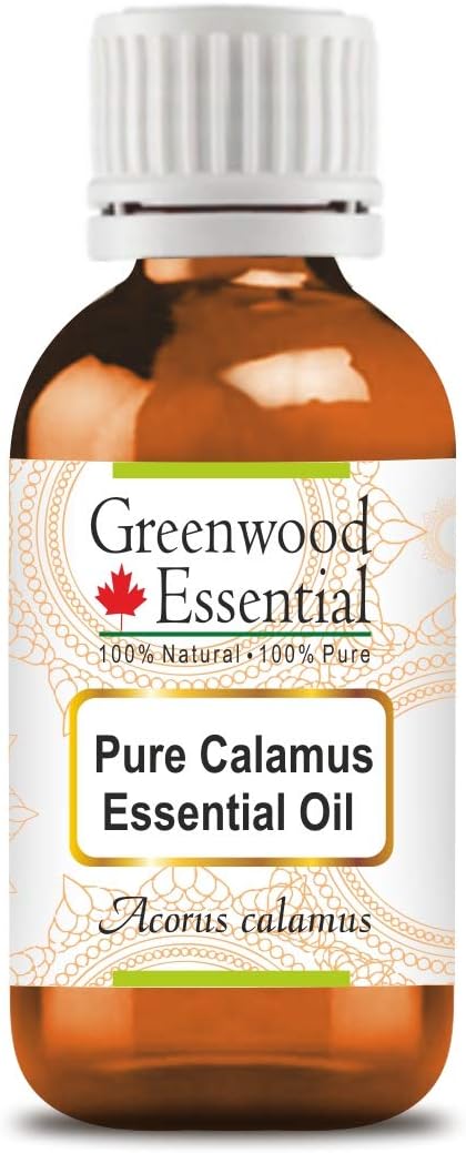 Greenwood Essential Pure Calamus Essential Oil (Acorus Calamus) Steam Distilled Natural Therapeutic Grade 15ml (0.50 oz)