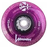 Luminous Wheels Luminous LED Quad Roller Skate