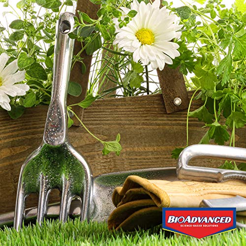 BioAdvanced Rose & Flower Fertilizer, Granules, 4 lb Pricepulse