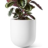 LE TAUCI 8 Inch Plant Pot, Ceramic Pot with Drainage Hole & Rubber Plug, Indoor Planter for Herbs & Small Houseplants, Cylinder Planter for Home Office, White