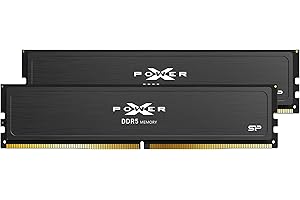 SP SILICON POWER Silicon Power Value Gaming DDR5 32GB (2x16GB) 6000MT/s (PC5-48000) 288-pin CL30 1.35V UDIMM Desktop RAM Computer Memory w/Heatsink SP032GXLWU60AFDEAE