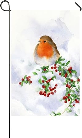 Amazon Com Small Mim Winter White Snow Baby Bird Fresh Red