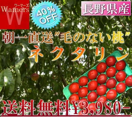Amazon 送料無料 ネクタリン 毛のない桃 長野 山梨 産地リレー 約5kg 国産 果物 通販