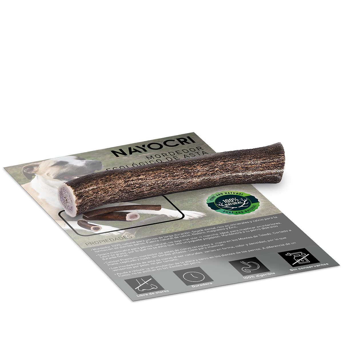 NAYOCRI Deer Pole for Puppy and Dogs - 100% Natural Eco-Friendly Dogs Teether - Picked by Standing in Toledo Mountains (L)