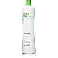 CHI Enviro American Smoothing Treatment Purity Shampoo, 32 Oz