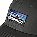 Patagonia P-6 LoPro Trucker Hat (Forge Grey)