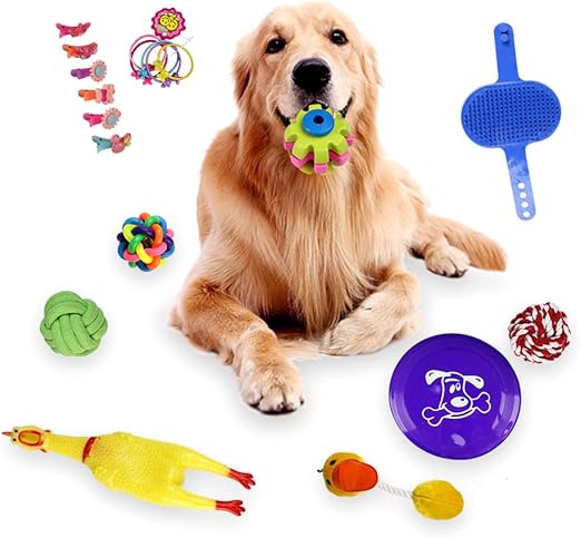 juguetes perros amazon