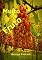 Livro Muito Fruto