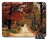 LONG ROAD HOME                                    