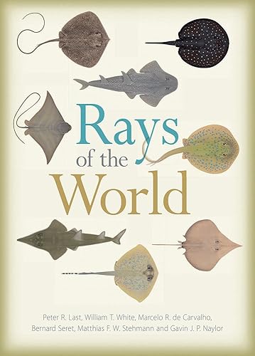 Download Rays of the World PDF