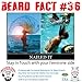 Beardilizer Island Coconut Rum Beard Oil for Men - 100% Natural Beard Conditioner & Oils with Argan & Jojoba Oils - Beard Softener & Beard Moisturizer for Beard Growth (Island Coconut Rum, 4 Oz)