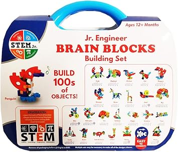 brain blocks building set