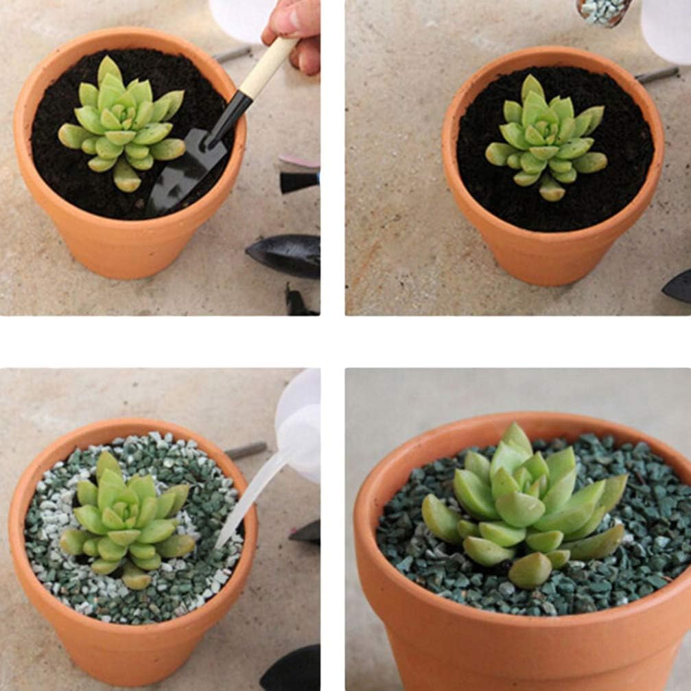 BESTonZON 20PCS Mini Clay Pots, 1.2'' Plant Pots Terracotta, Small Clay Plant Pots Mini Terracotta Flower Pots - Image 3