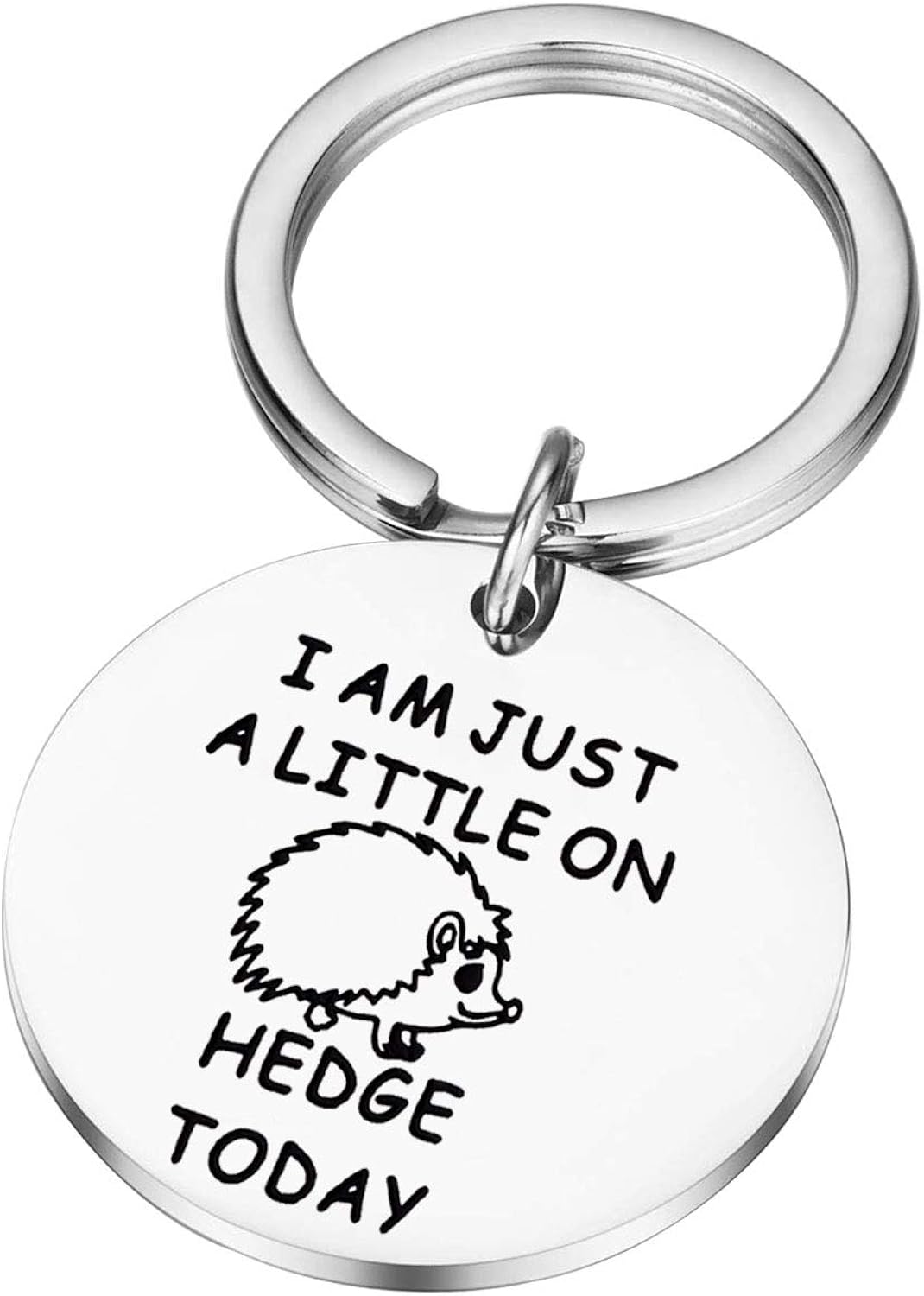 Hedgehog Gift Hedgehog Lover Gift Animal Lover Gift Hedgehog Catchall