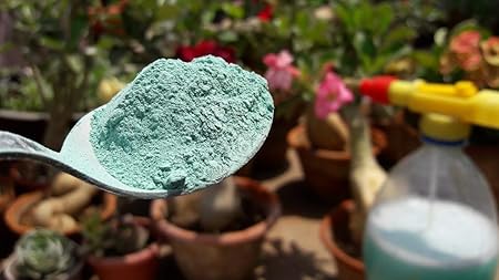 Radha Krishna Agriculture Fungicide Plant Fungus Powder Special Pack of 1Kg for Your Garden