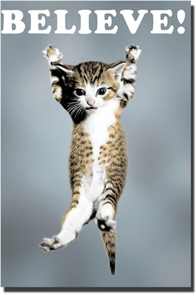 POSTERFORHOME I Believe Cat Poster Hang in There Poster Inspiring Poster Quote Poster Decorative for Home 18x24 inchs