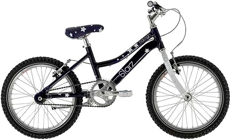 raleigh 18 inch bike