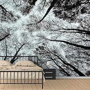 Wall Murals for Bedroom Dreamwork Beautiful Removable Wallpaper Peel and Stick Wall Stickers - 66x96 inches