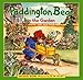 Paddington Bear in the Garden