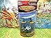 Hasbro - Heroscape D&D Wave 3 : Moltenclaw's Invasion - Icewind Scourge