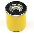 Amazon.com : Briggs & Stratton 795990 Oil Filter : Lawn And Garden Tool ...