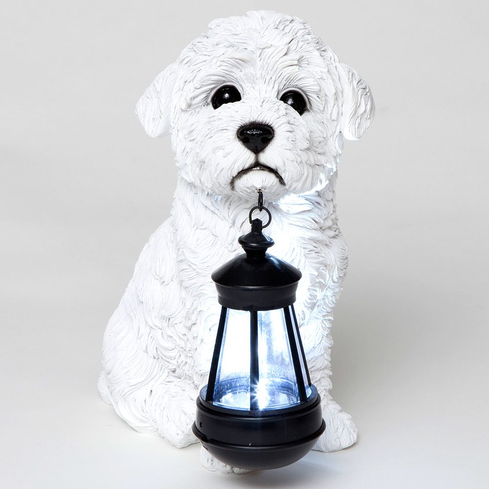 Bits and Pieces - Bichon Solar Lantern Statue - Solar Powered Garden Lantern - Resin White Dog Sculpture with LED Light - Outdoor Lighting and Décor Maltese, Bolognese, Coton de Tulear, Havanese
