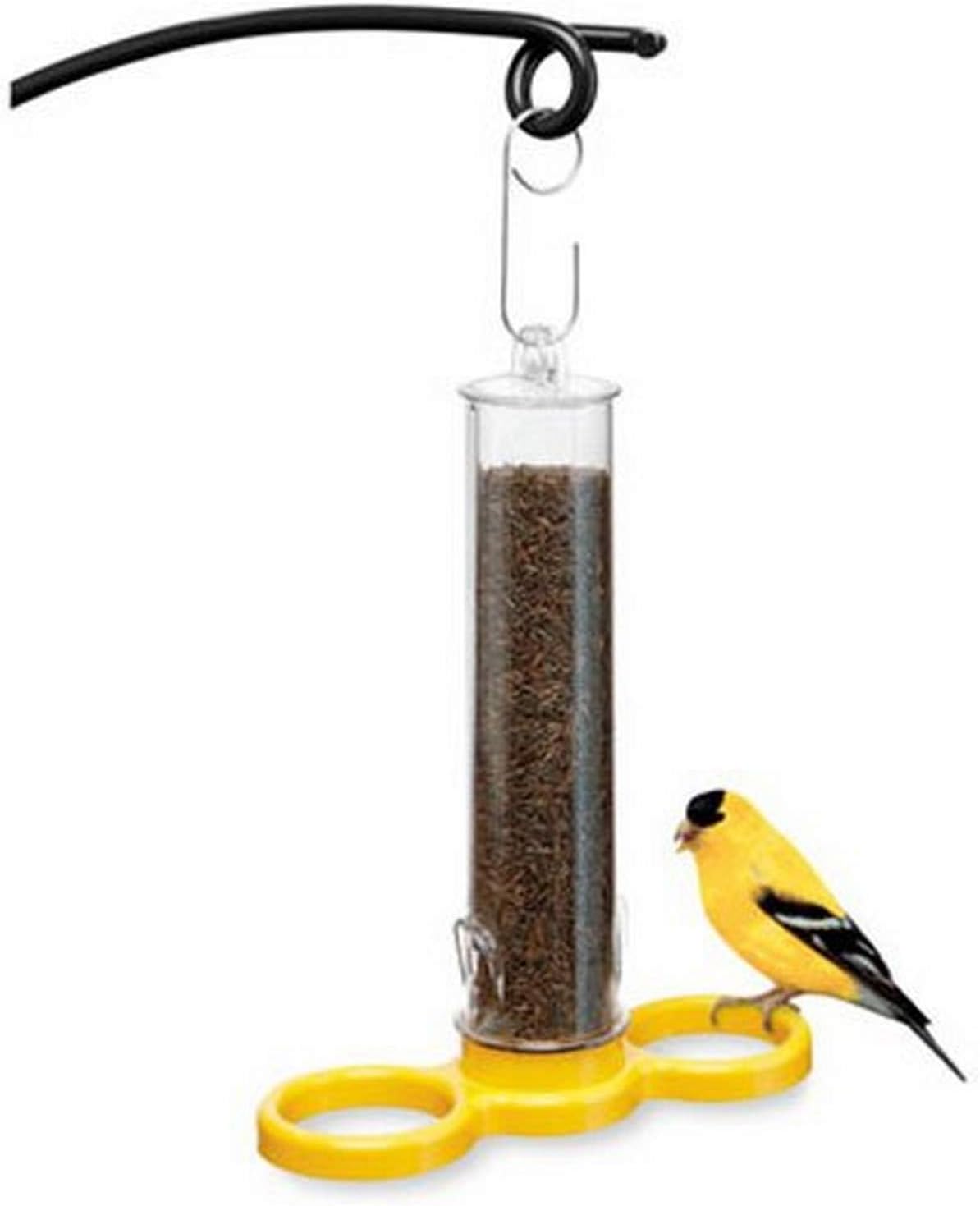 Amazon Com Droll Yankees Bird Feeder Bird Lovers Njyer Seed