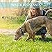 Felyong Bark Collar Dog Training Collar Rechargeable Anti-Barking Harmless Shock Safety for Small Medium Large Dog Adjustable 7 Sensitivity Beep Vibration Waterproof Training (1a)
