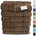 SALBAKOS - Premium 6 Piece Hand Towels Set, 100% Turkish Cotton, Quick Dry & Comfy Towels for Hotel & Spa, Highly Absorbent | 16