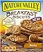 Nature Valley Breakfast Biscuits, Honey, 8.85 Ounce Box (Pack of 4)