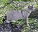 PetSafe Come with Me Kitty Harness and Bungee Leash, Medium, Lime