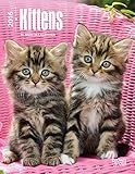 Kittens 2016 Engagement Calendar