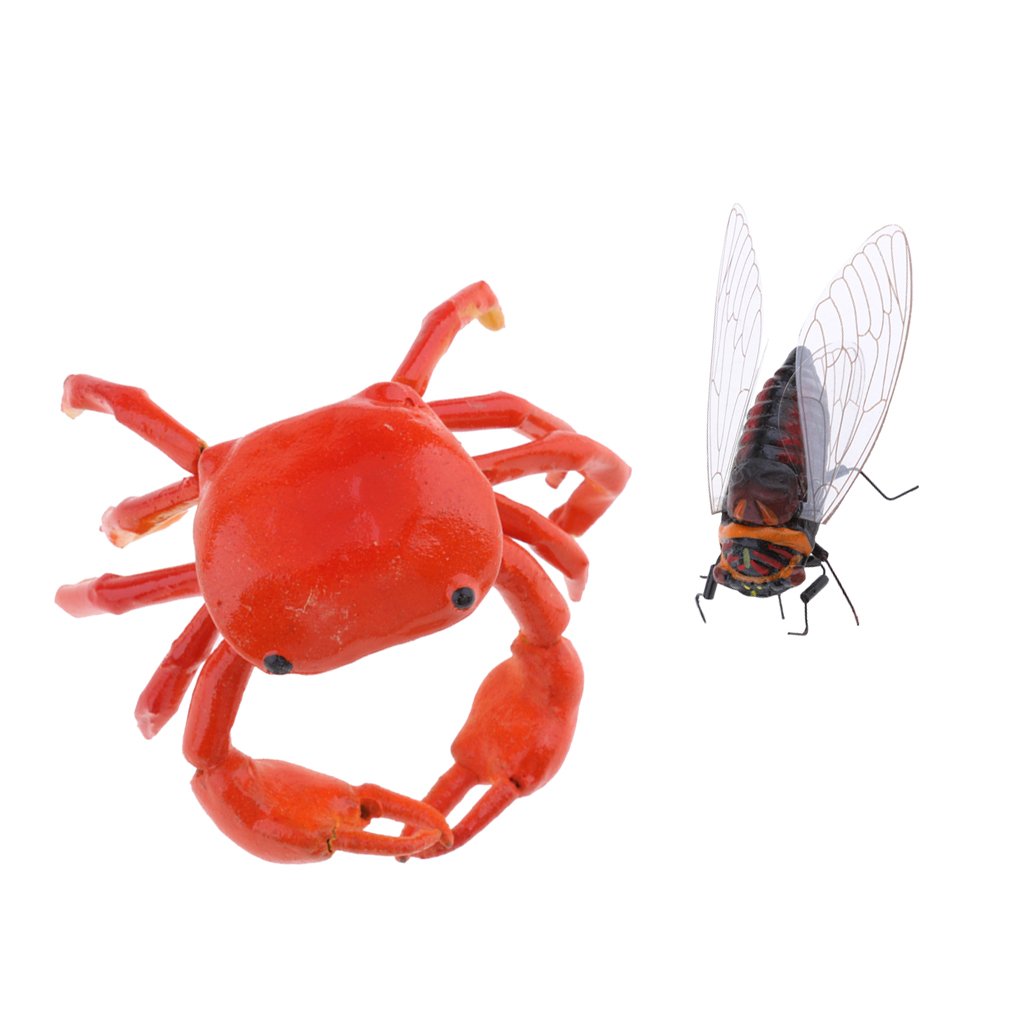 Homyl 2 Unidades Artificial Animales Insectos Cicala Cangrejo ...