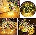 ER CHEN 165ft Led String Lights,500 Led Starry Lights on 50M Silver Copper Wire String Lights Power Adapter + Remote Control(Warm White)