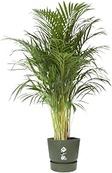 elho Greenville Round 40 Large Plant Pot with Integrated Water Reservoir view 3