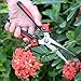AOFU Classic Pruning Shears, Razor Sharp Bypass Secateurs - Premium Hand Pruner, Tree Trimmer, Gardening Shear, Garden Clippers with Ergonomic Too (RED)