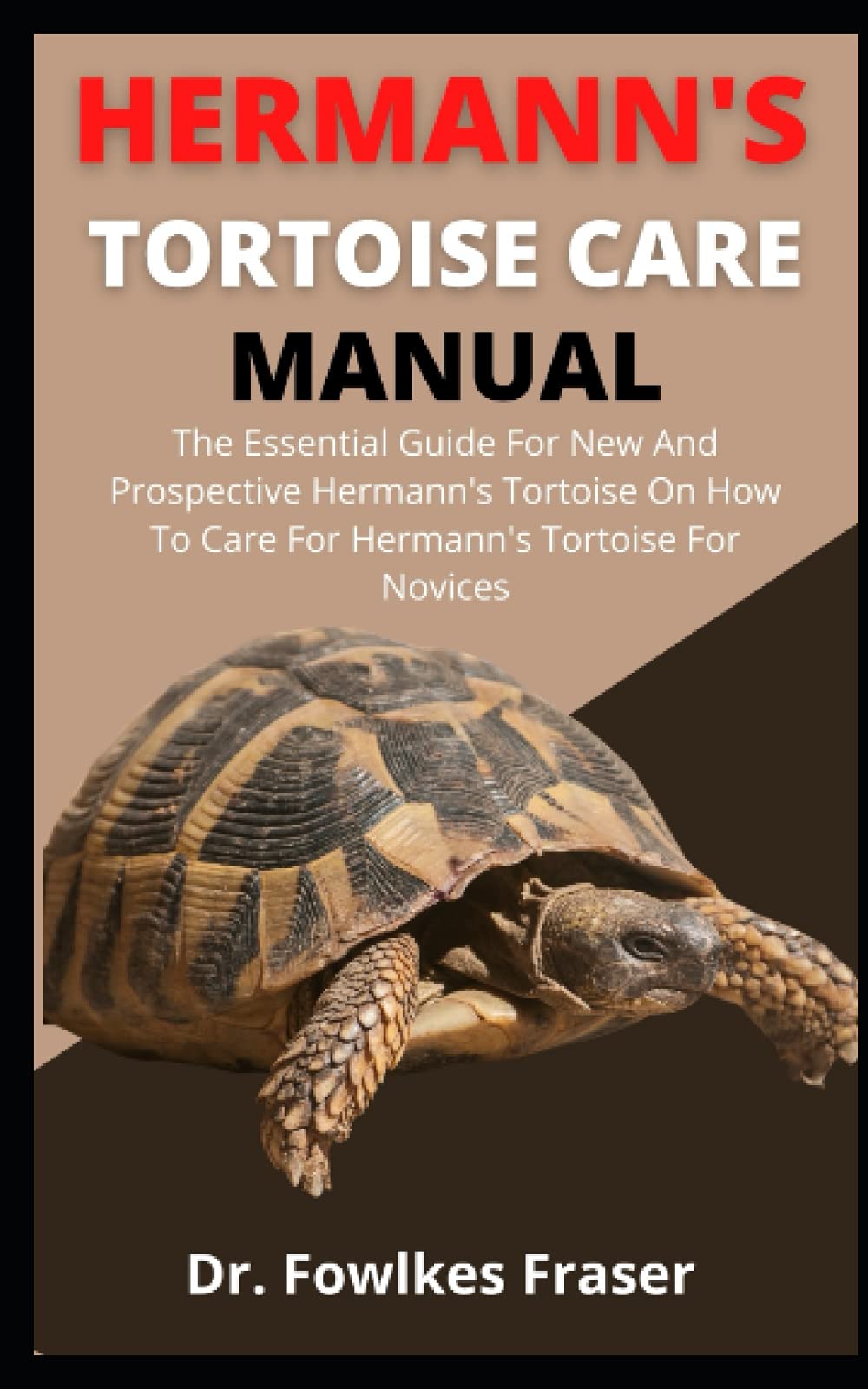tortoise essentials