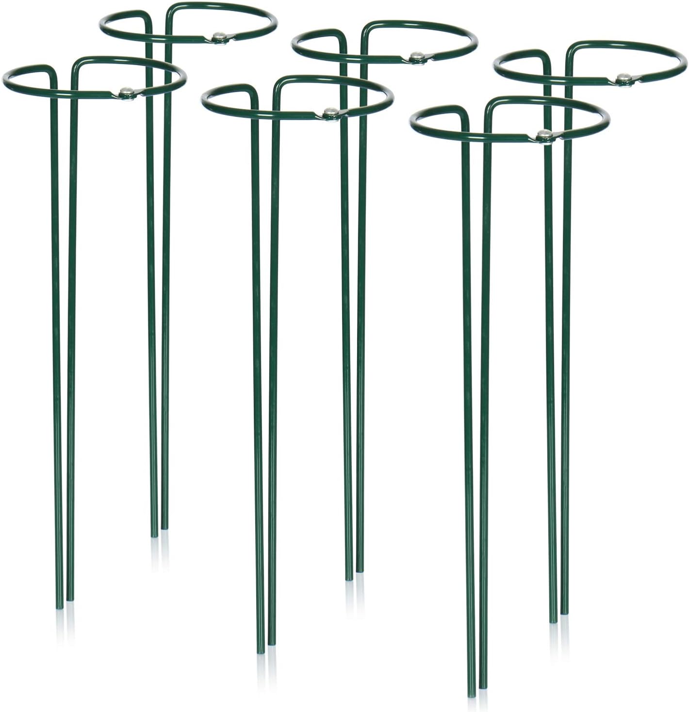 8 Mejores Arbustos Jardineras Arbustos Perennes Jardineras Para Huertos