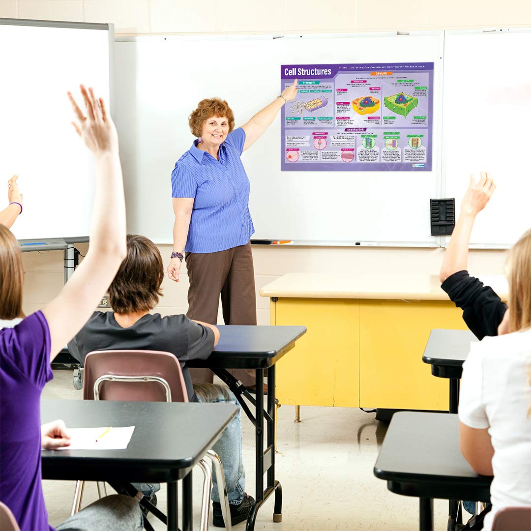 Daydream Education Cell Structures Classroom Poster, EXTRA LARGE, A1 (850mm x 594mm), Gloss Paper - Image 4