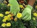 WILDFLOWER Tools Gardening Gloves for Women and Men - Nitrile Coating for Protection (Small, Purple Pair/Green Pair with White Cuff Hem)