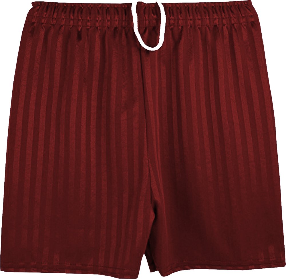 ND Sports School Shadow Stripe PE Shorts for 9-10 Years, Maroon